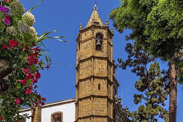 csm_Basilica_del_Pino_c7271308f7_v2