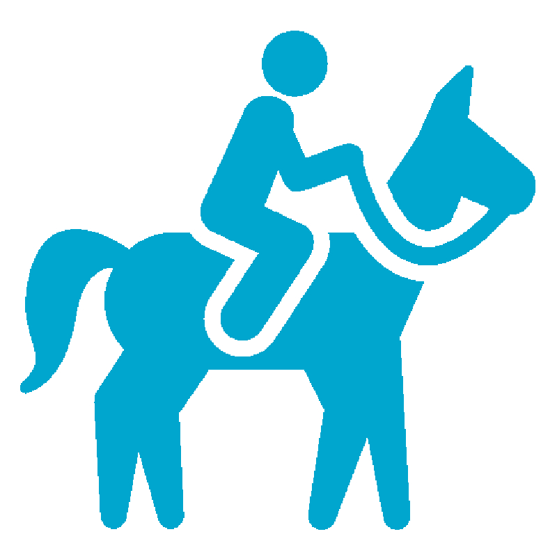 equitacion